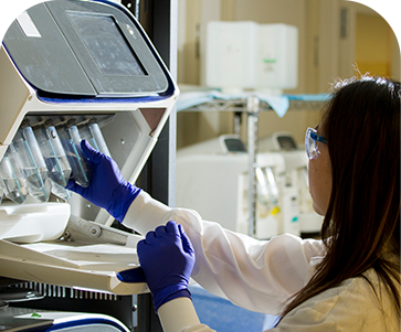 国际标准质控体系